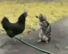 мах