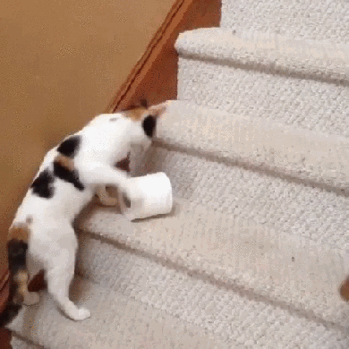 6b8b3b0ba7f65724eb3db2a4ab9