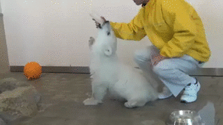 8d74578f18af0ad67f792d4d168