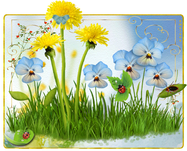 Просто веселый, летний денек!