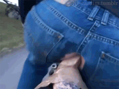 tumblr_mxtsxj7T2q1s9h9m2o1_r1_400