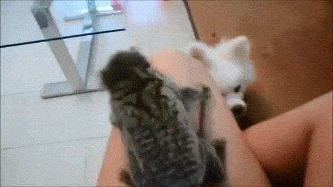 1448728941_aki-molniya.-poymay-menya