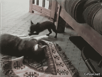 b7bf990afbe03aae6a4e10d7378