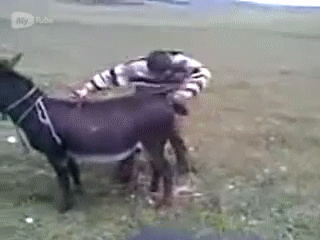 gifs_02