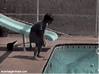 unexpected_gifs_05
