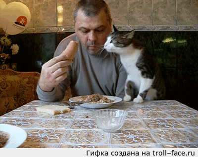 4253v4b7_yapfiles.ru