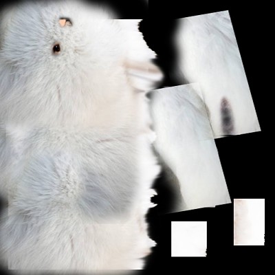 Krolik_1