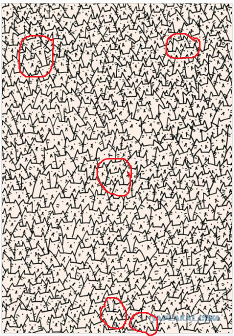 найди собаку