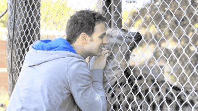 tumblr_nyyq40iOFN1s02vreo2_400