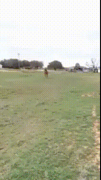 aApWDB9_460sv