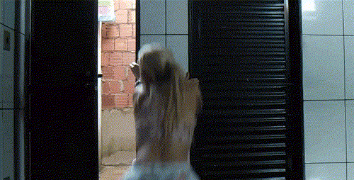 grownup_corner_197_54