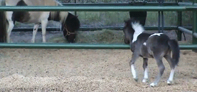 babce1130a3beb4c3a1aba34892