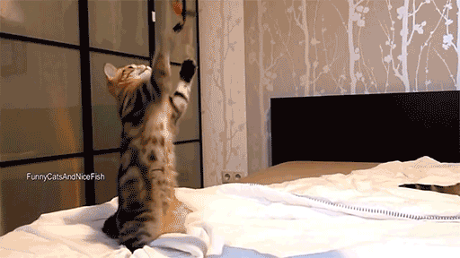 0b1009a8c5381749811eacd46e0