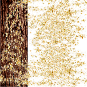 8cb7f5481ae78558a0676d29137709cf