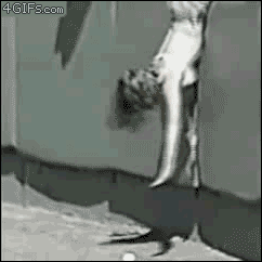 2278919014606_406mos