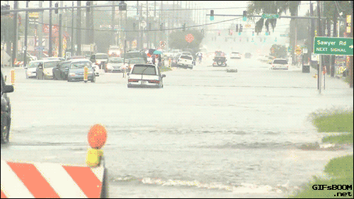 13468850932708_311_1000_(1)