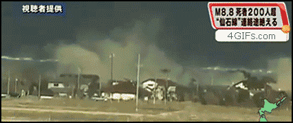 20494981624173_1301044032_14