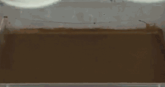 40133599756839_spray