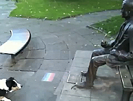 gif-собака-памятник-безысходность-1822603.jpeg