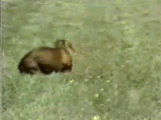 f8e6feec01cc5fb8614be78c535e9926