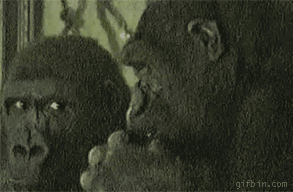 friday_gif_collection_06