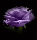 0a1240c17126_zpsc06100ca