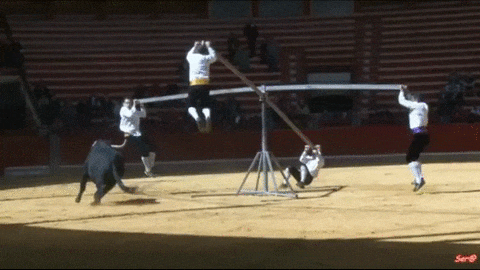 1447276518_1557882645