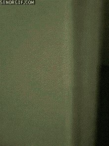 85618909737010_837667_orig_