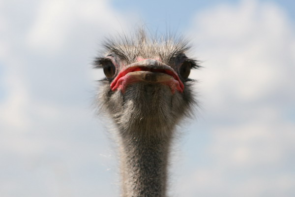 IMG_8912_изменить размер