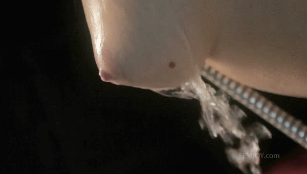 00ab0039-2d69-4fc2-a9e8-9b0ae8ba30cf