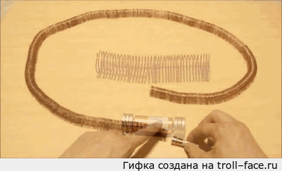и слон1