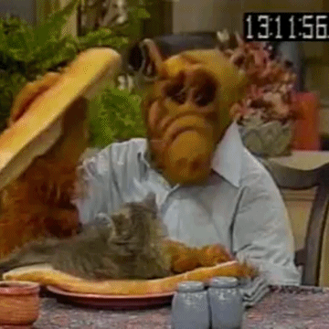 giphy