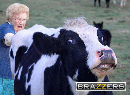 бабушка с коровой