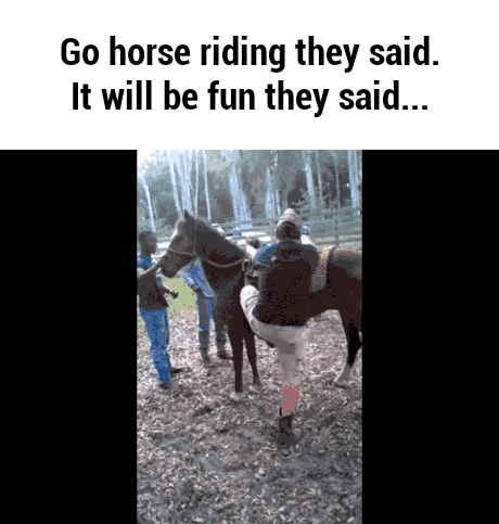 6025500239759_8989_(3)