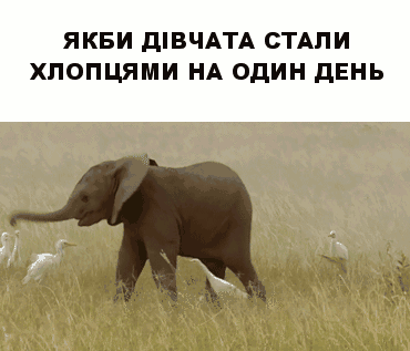 6242402196fbe946af6855d4ad9