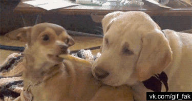 b1e49f5962222ce137ac096e2af