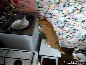 c437c75ba462d64bbd4b157457e