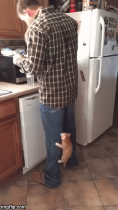 f45c8e57b64a268a22b998e0db7