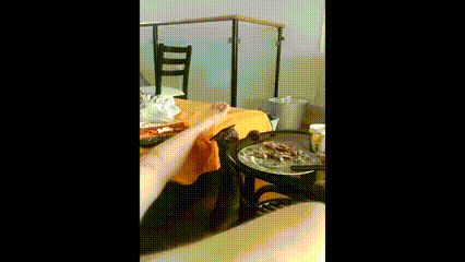 -котэ-живность-2678395