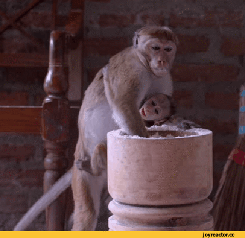 59dc640de358b6660dc38384414