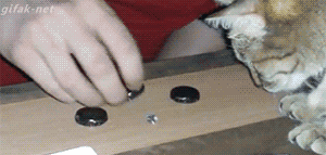 74bc92ef02003c2fc86c0f4429c