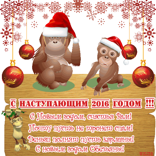 С  2016 годом!
