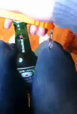 Beer bottle opener - Imgur