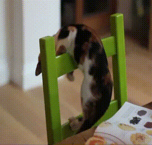 gifs_111