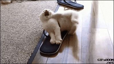 gifs_181