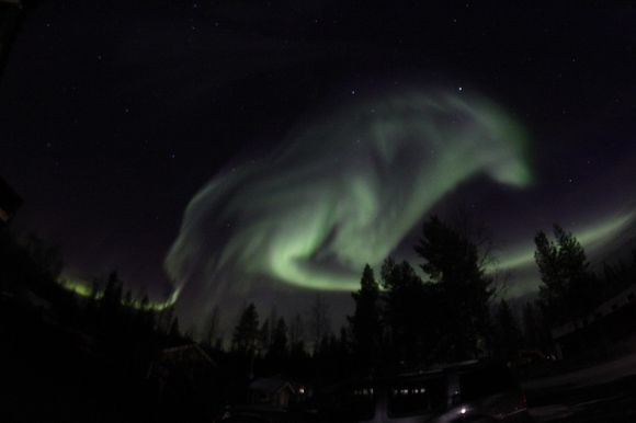 977e5913d521f80a20d66a672e1bc090