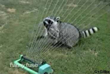 696f240c8d7354718f6e3749f93