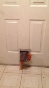 14518067971100282425