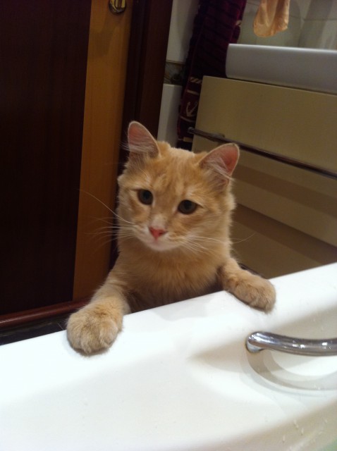 image-01-11-15-06-44-2