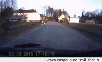 не дразнить